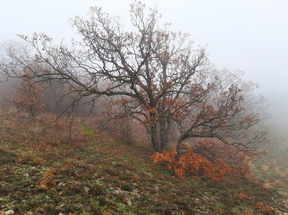 Photograph by Галина Глазкова