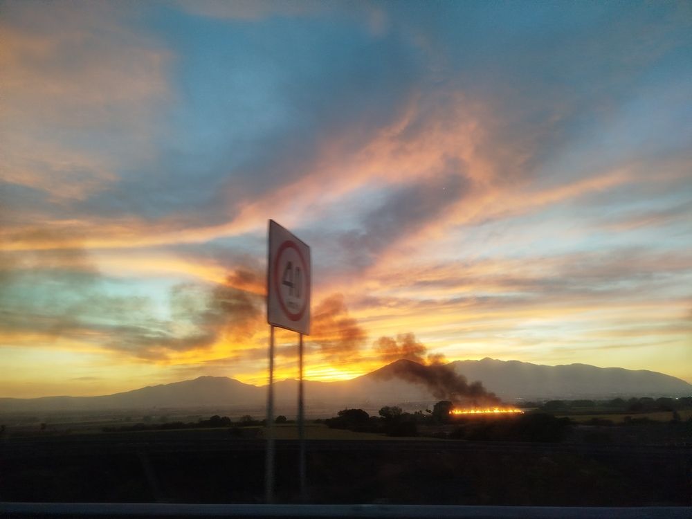 Photo #12709278