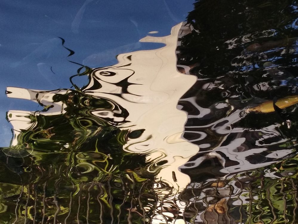 Photograph by Daniel Br