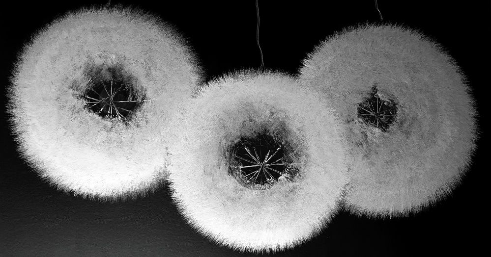 Photo #12709342