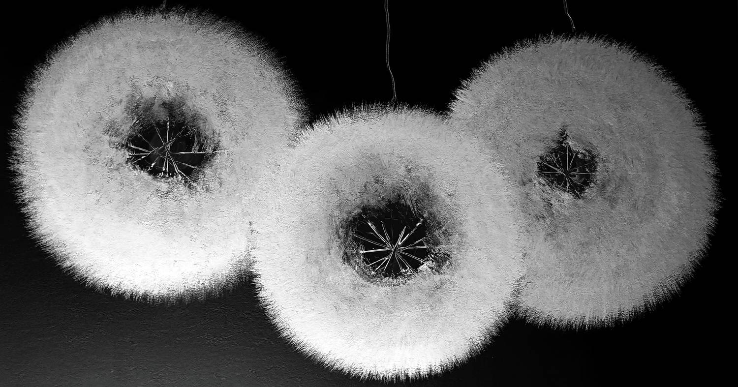 Photo #12709342