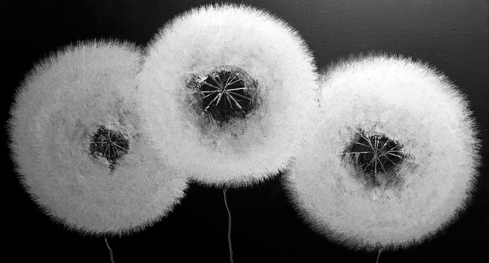 Photo #12709343