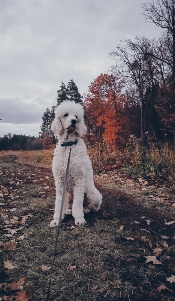 Photograph by Людмила Горячева