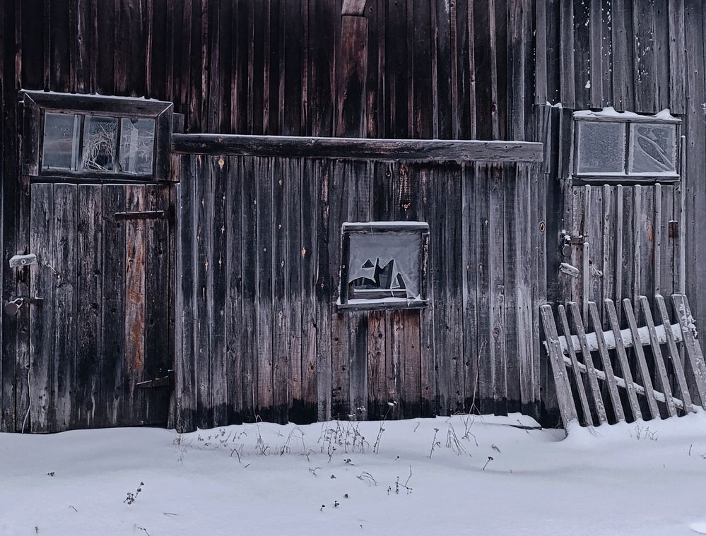 Photograph by Александра Раева