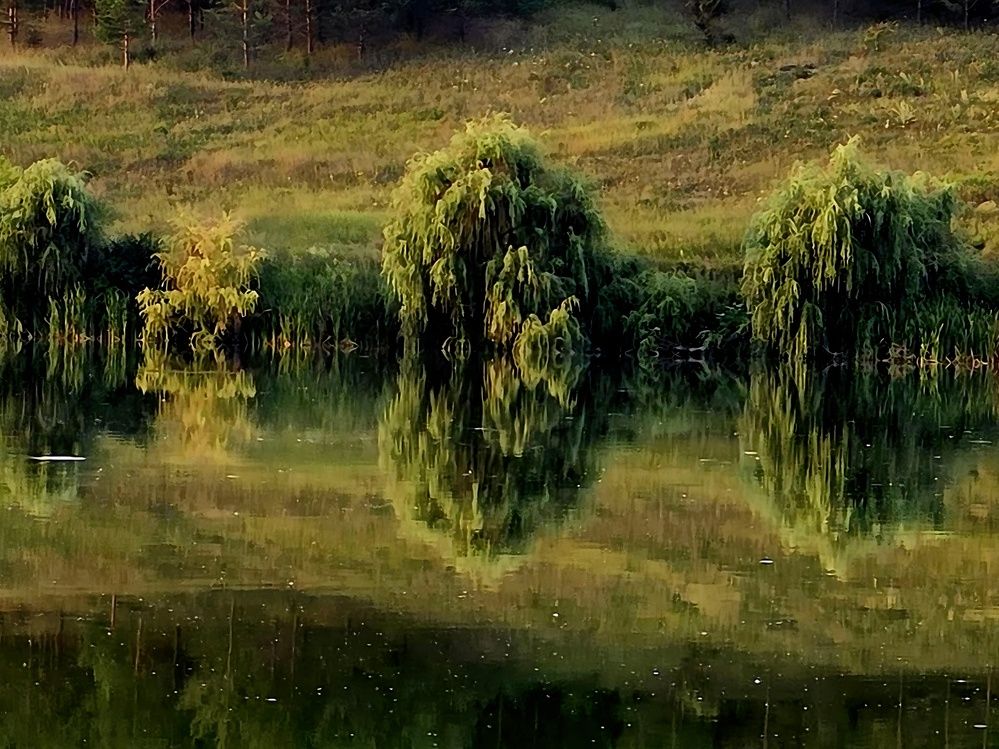 Photograph by Куделенко Оксана