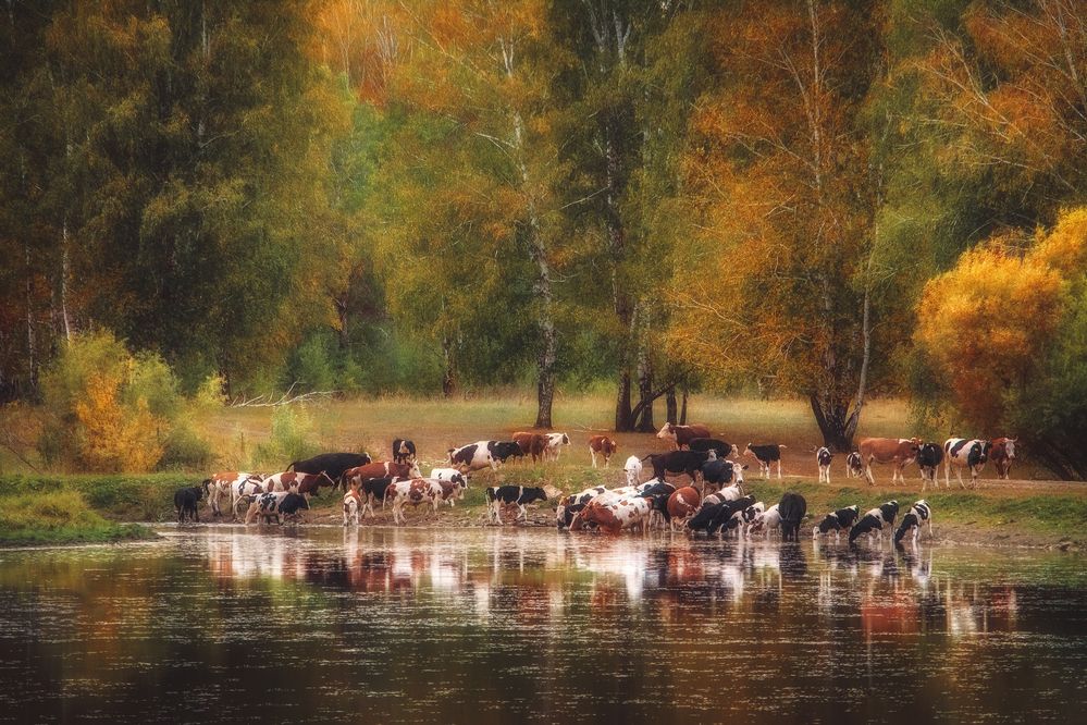 Photograph by Юлия Лушникова