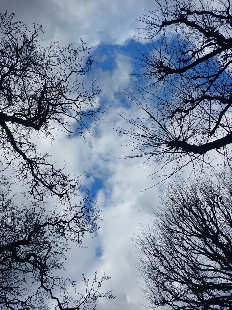Photograph by Татьяна