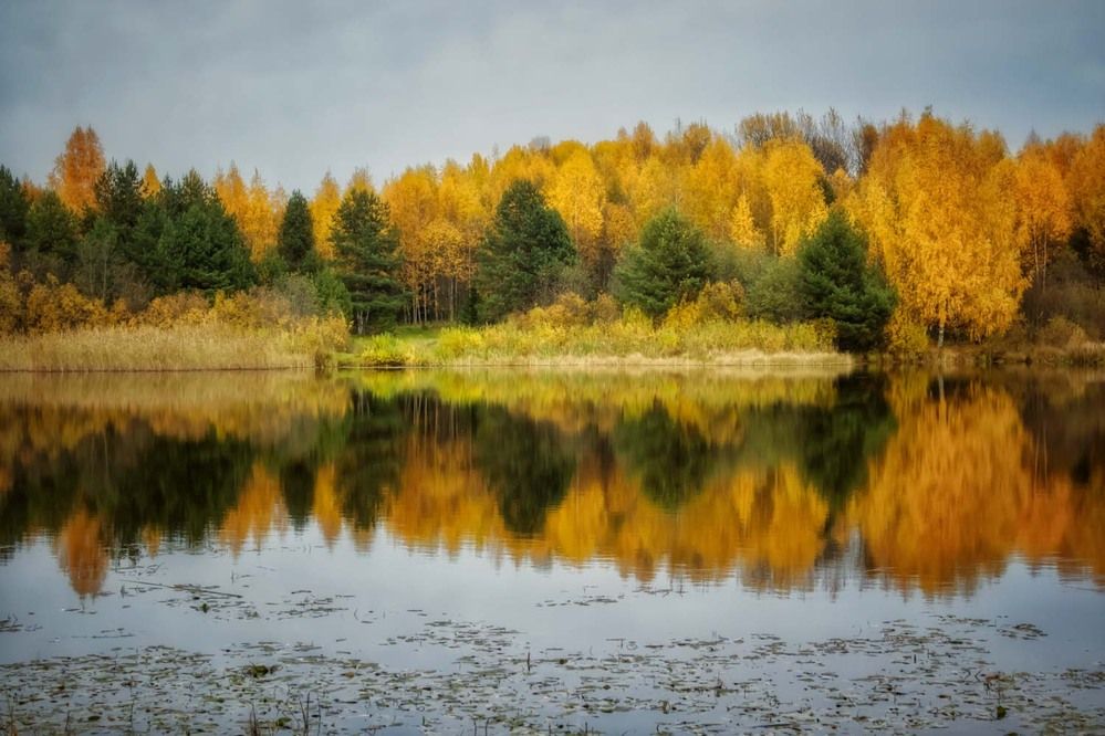 Photograph by Сергей Назаредский