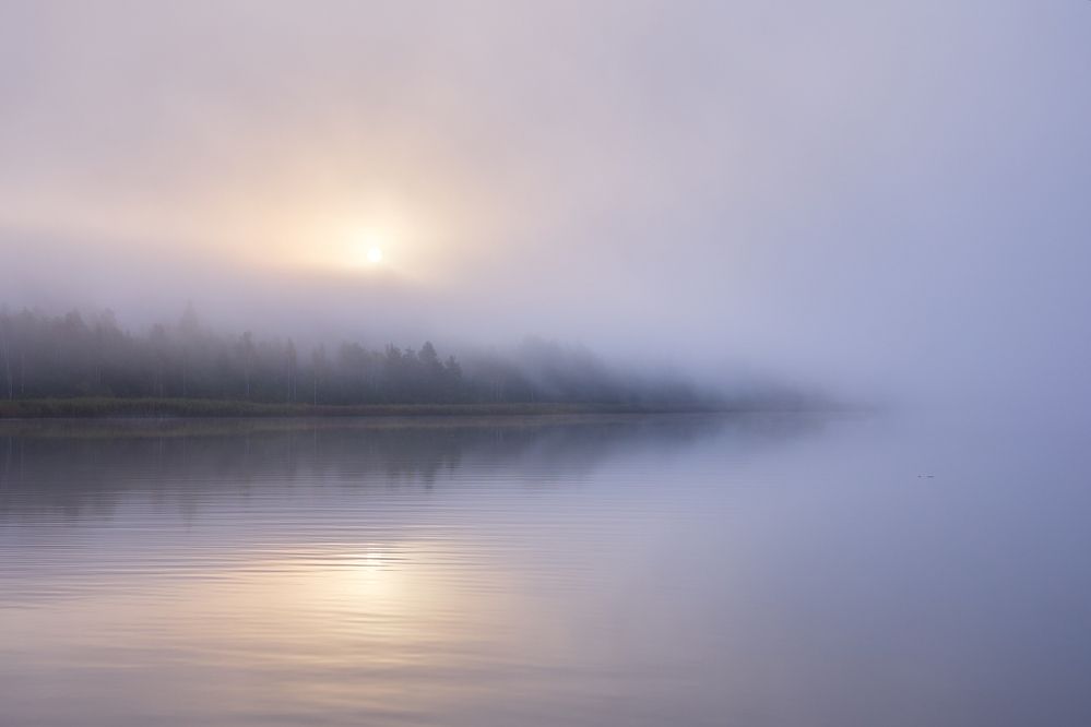 Photograph by Воробьева Людмила