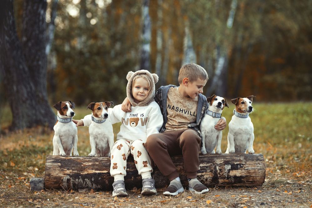 Фотография автора Наталия Комарова