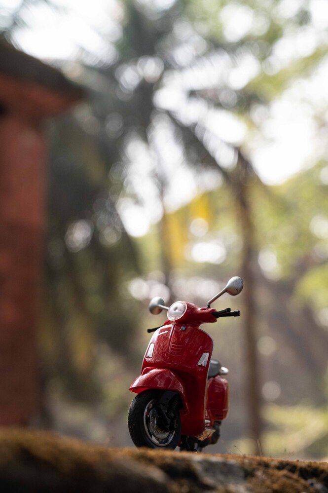 Фотография автора Dibbya Bhattacharjee