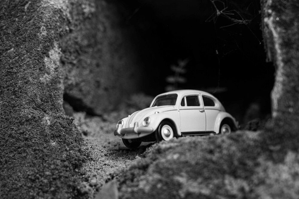 Фотография автора Dibbya Bhattacharjee