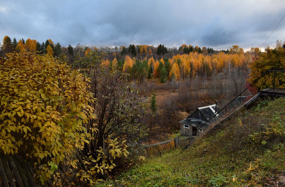 Фотография автора Оксана Льдинина
