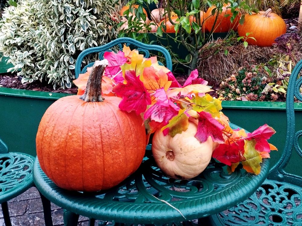 Photograph by Михаил Малец