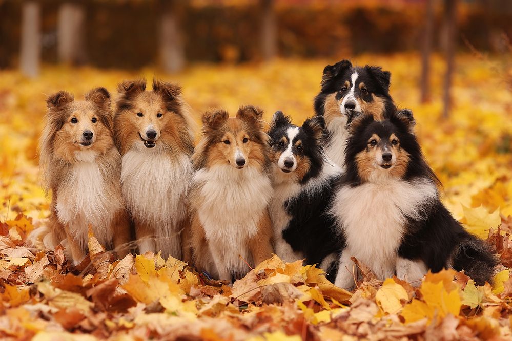 Photograph by Тамара Дмитриева