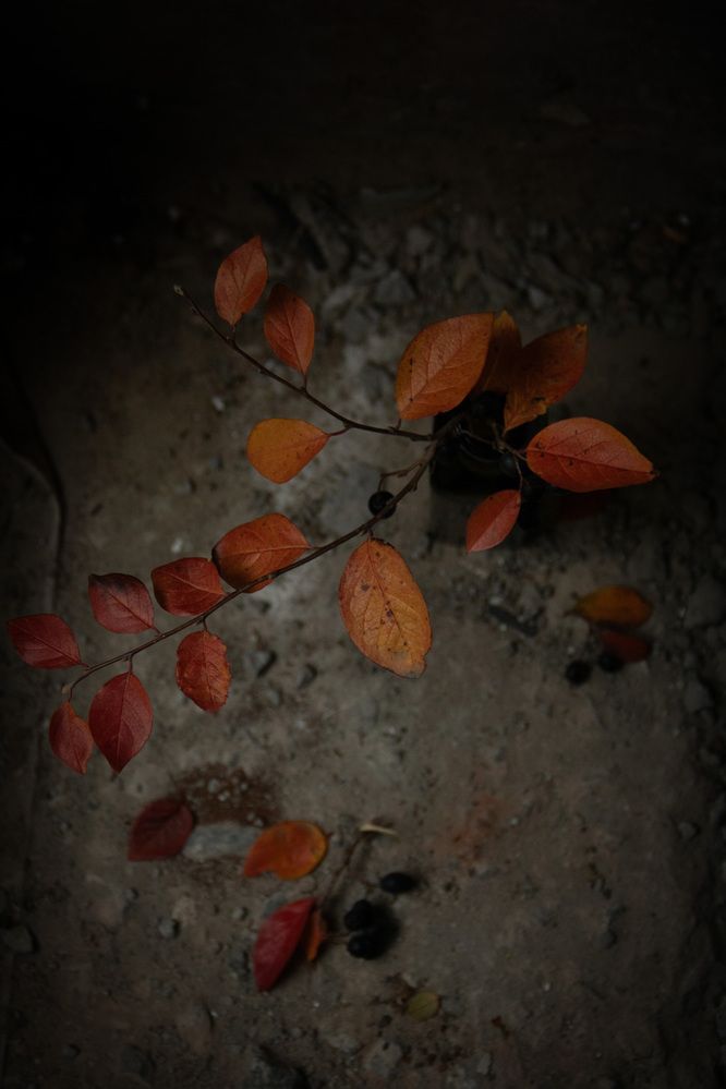 Photograph by Марина Михайлова