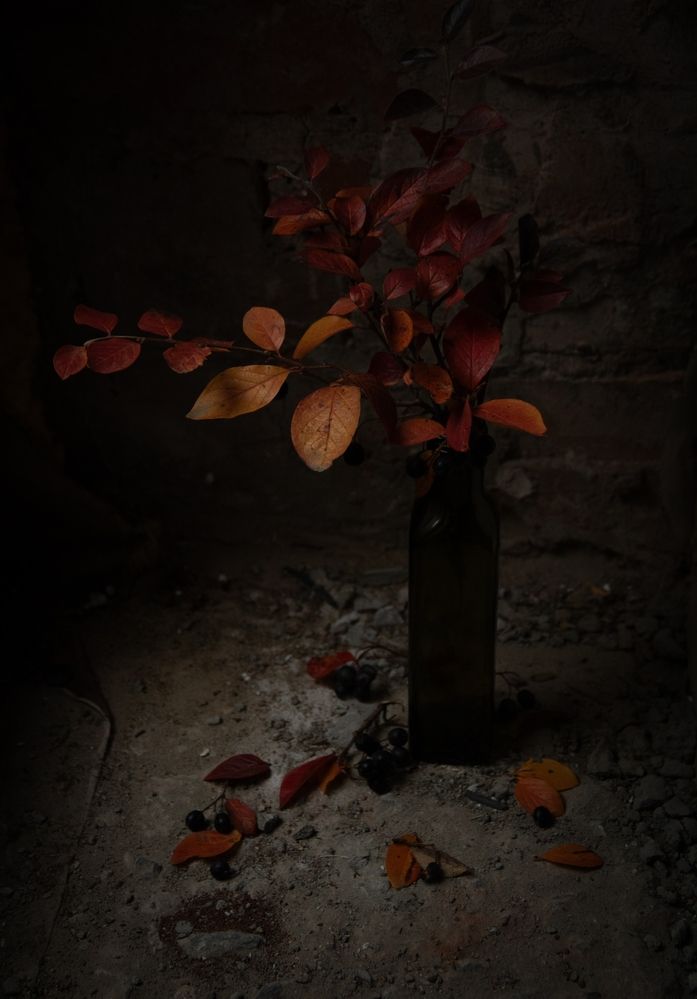 Photograph by Марина Михайлова