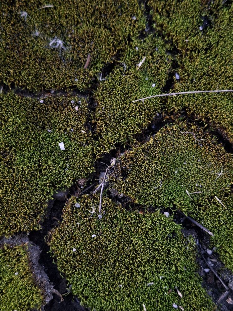 Photograph by Катерина Солдатова