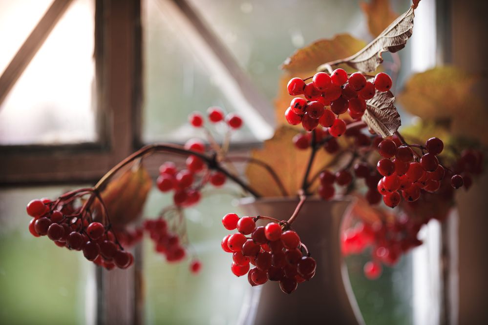 Photograph by Зеленько Дмитрий