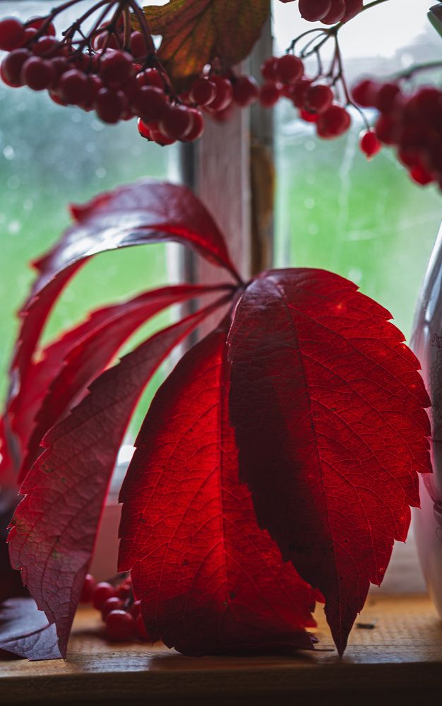 Photograph by Зеленько Дмитрий