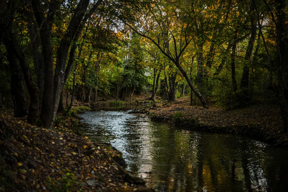 Photograph by Терещенко Евгений