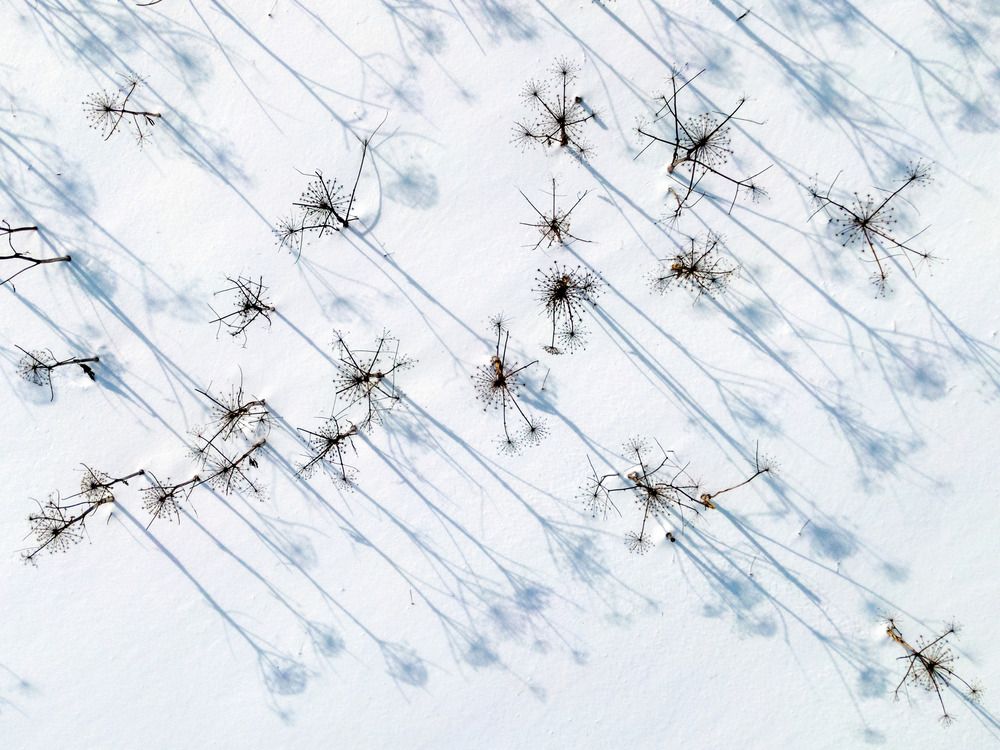 Photograph by Александр Лис