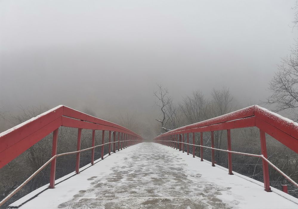 Фотография автора Шипунова Ирина