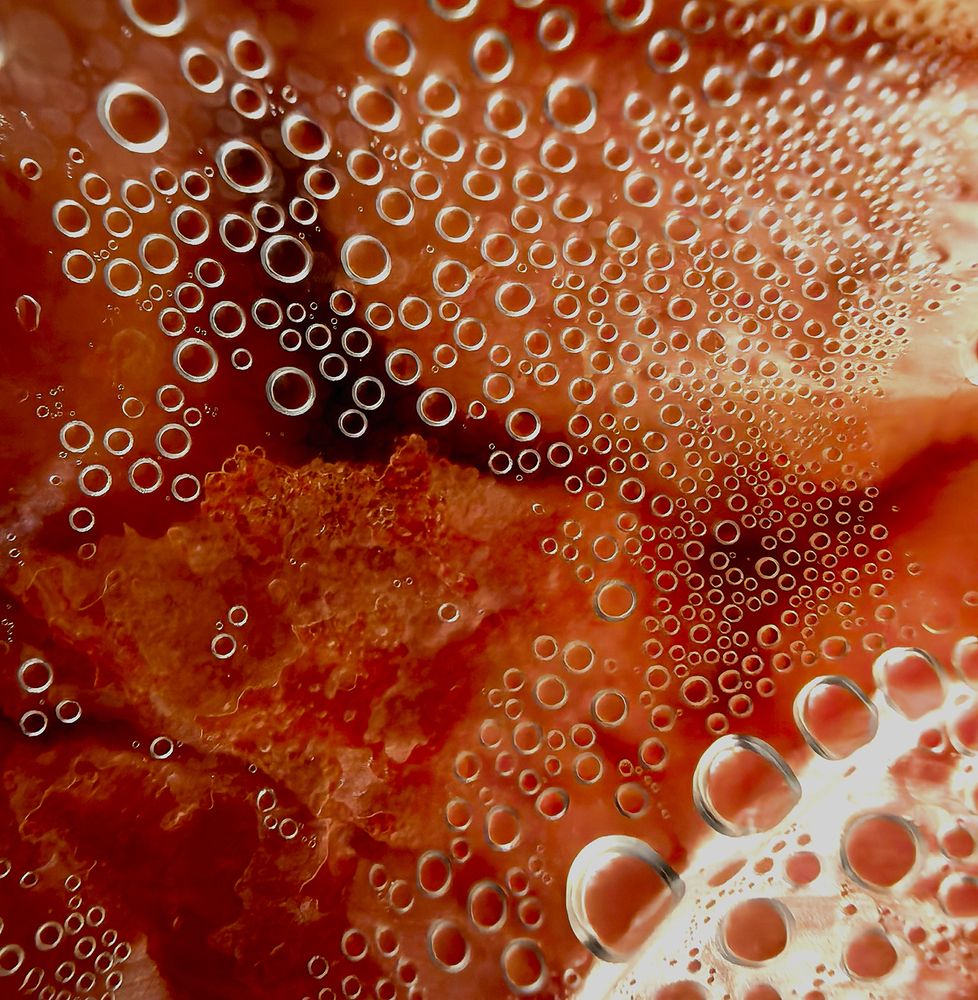 Фотография автора Шипунова Ирина