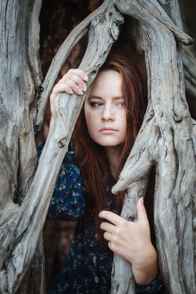 Photograph by Анна Филина