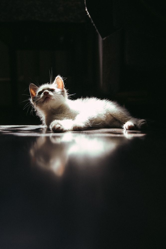 Photograph by Анастасия Лидяева