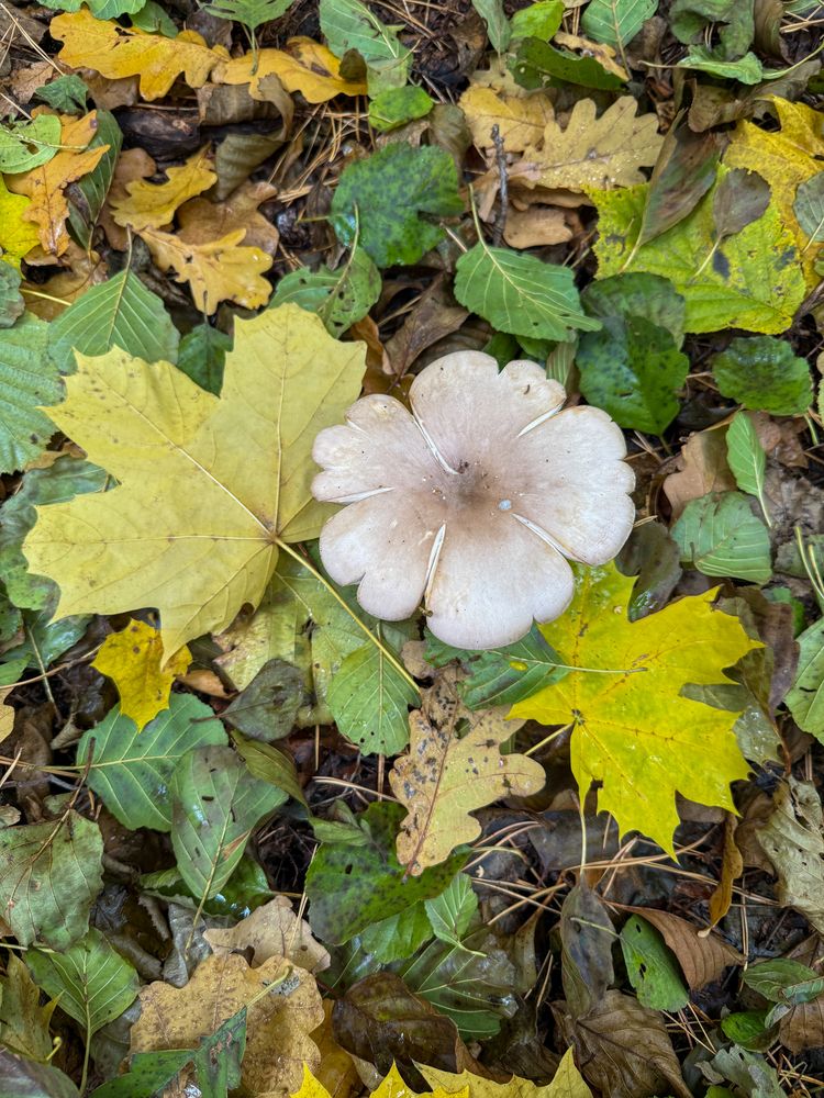 Фотография автора Иван Безрядин