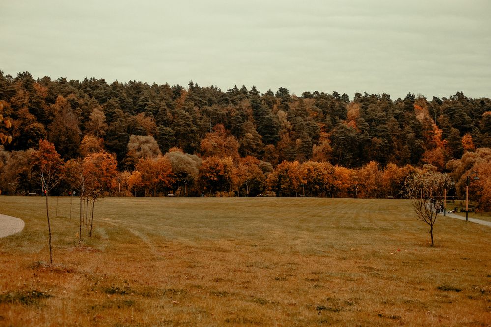 Photograph by Сергей Триколич