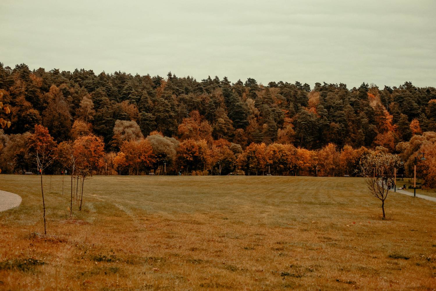 Photo #12709945