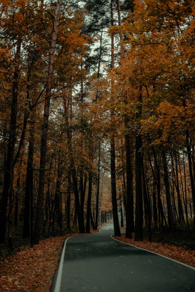 Photograph by Сергей Триколич