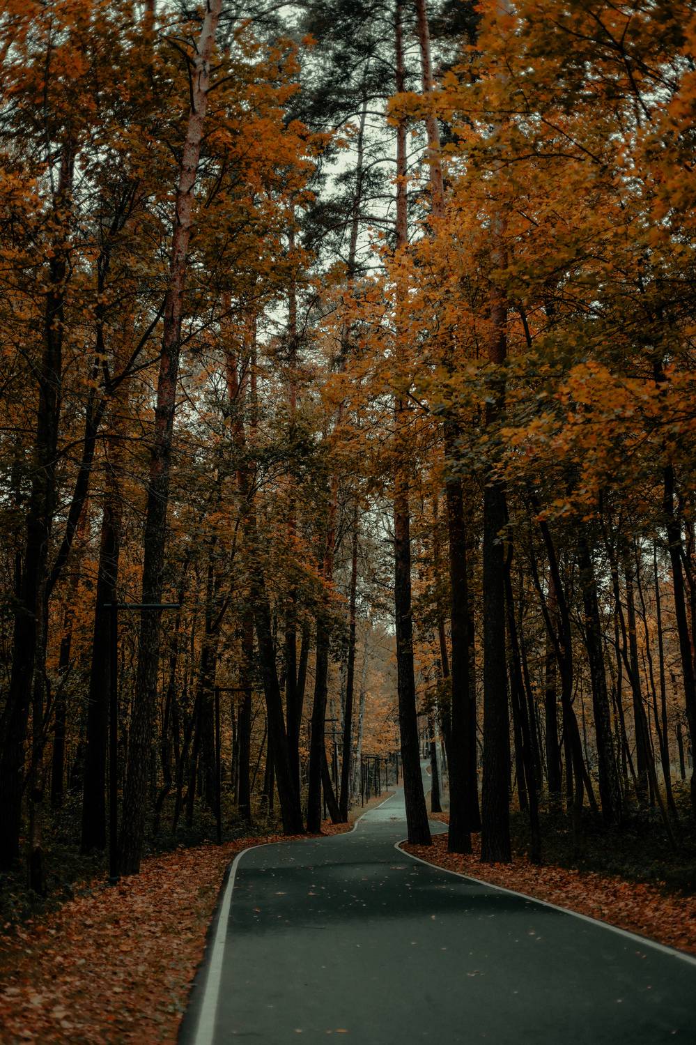Photo #12709946