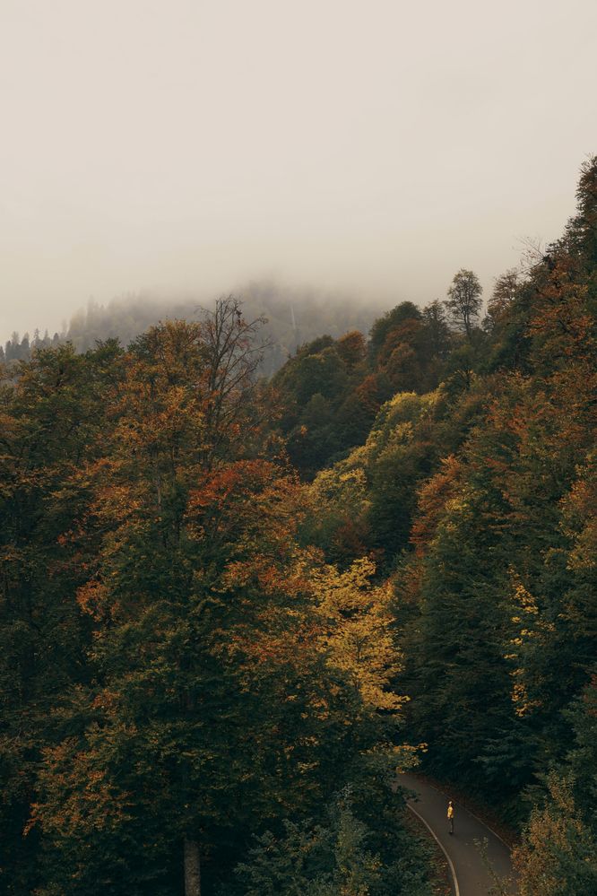 Photograph by Никулин Сергей