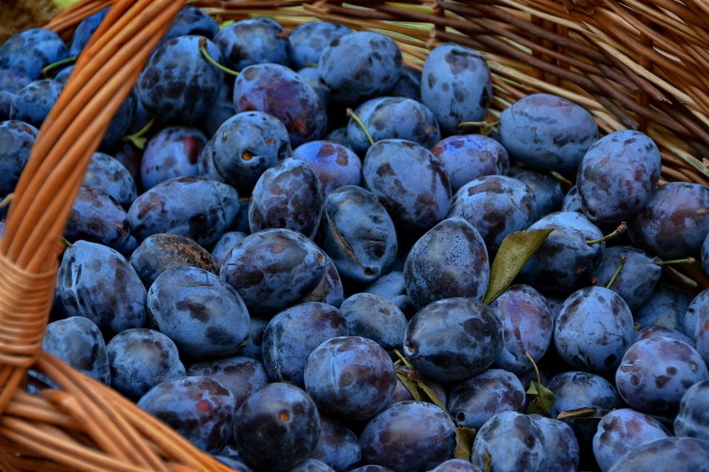 Photograph by Анастасия Смирнова