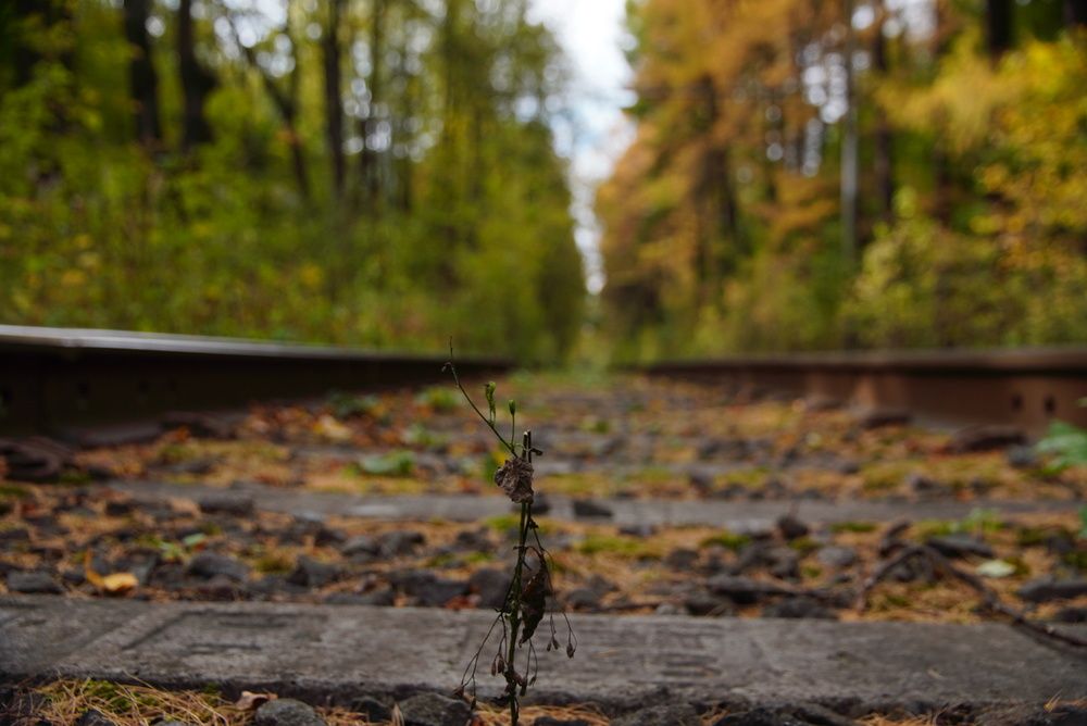 Photograph by Анна Лернер