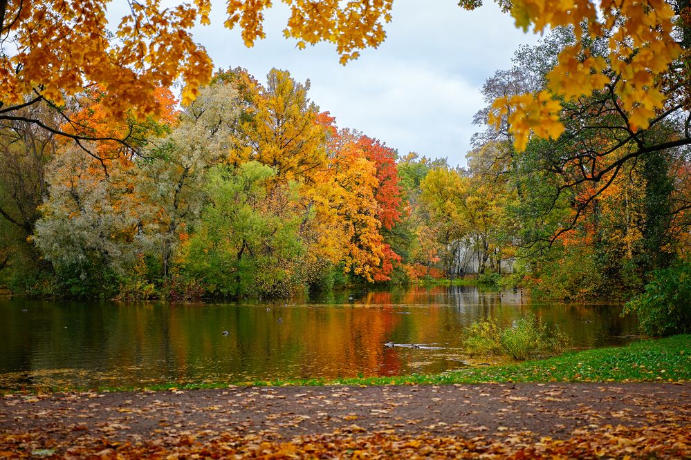Photograph by Криволуцкий Вячеслав
