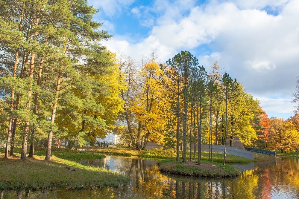 Photograph by Александр Леонтьев