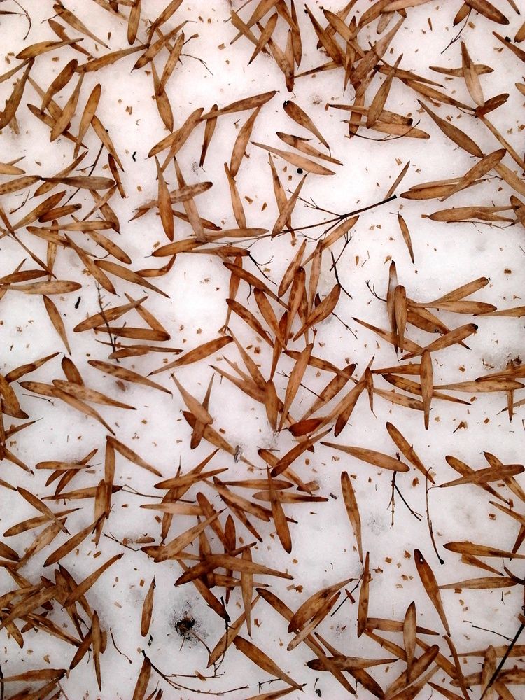 Фотография автора Анатолий Борисенко