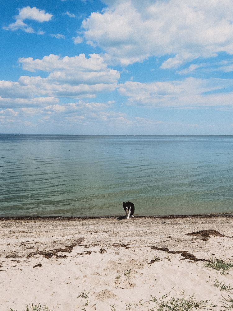 Photograph by Kate Entsi