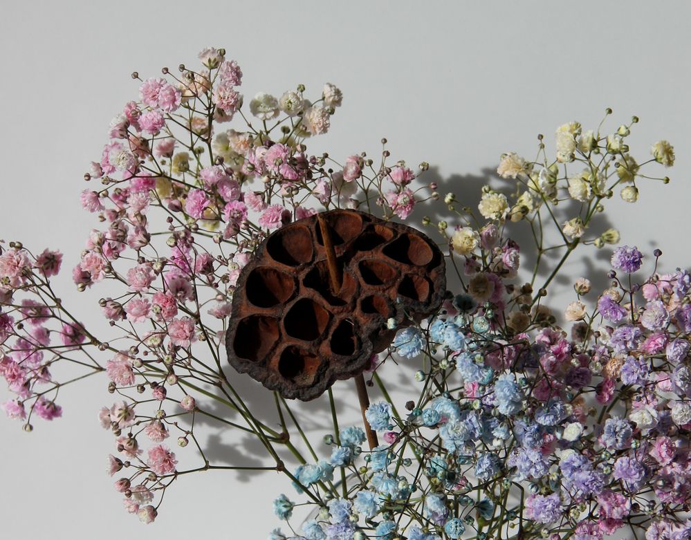 Photograph by Александра Шереметьева