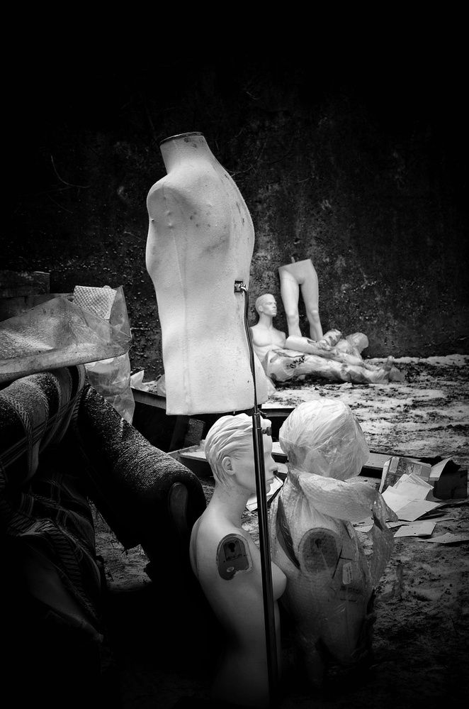 Photograph by Guseva Marina