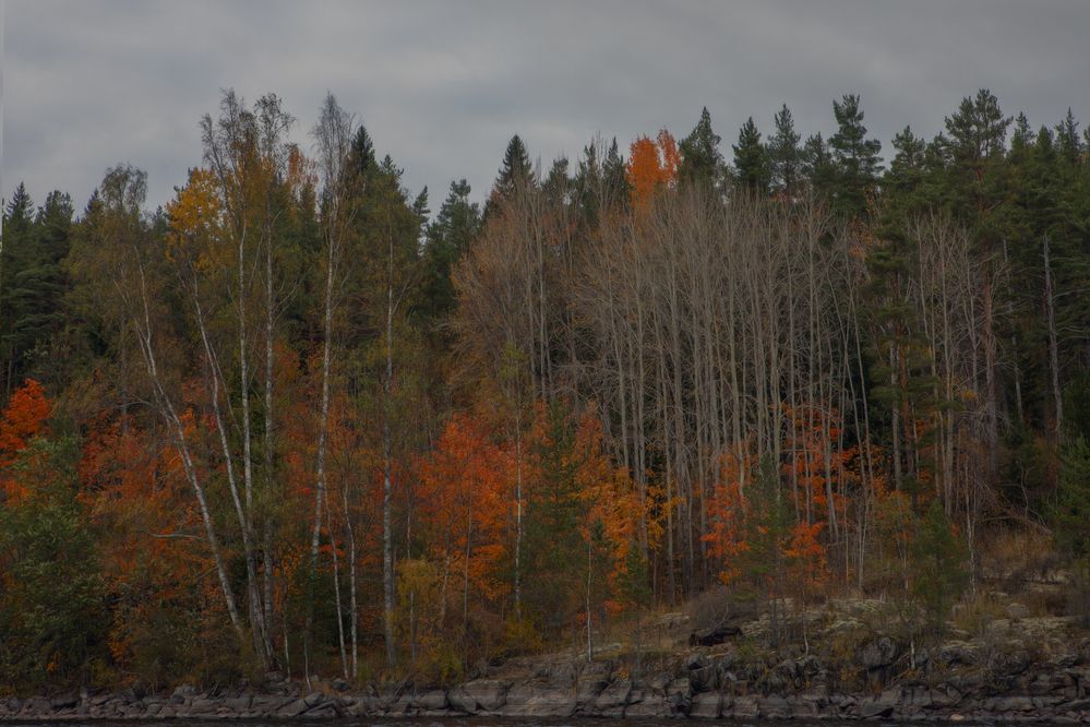 Photograph by Туева Наталья