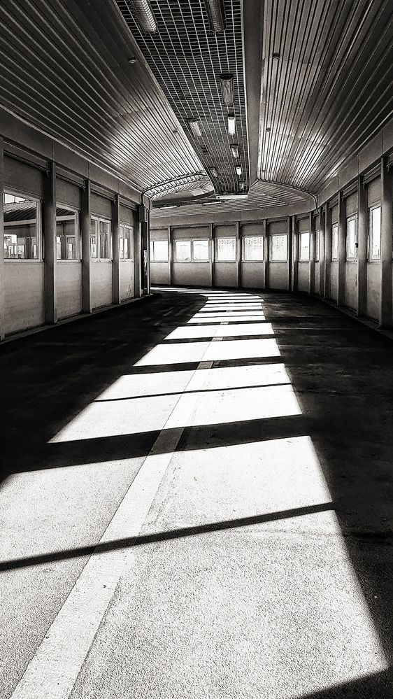 Photograph by Алексей Козлов