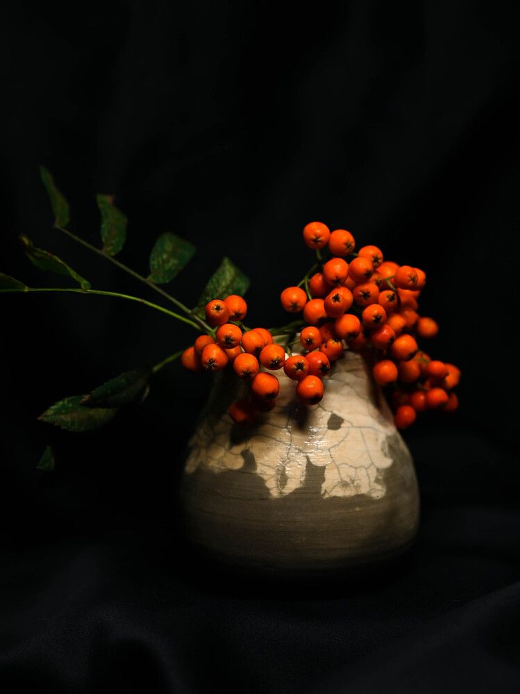 Photograph by Светлана Гаврикова