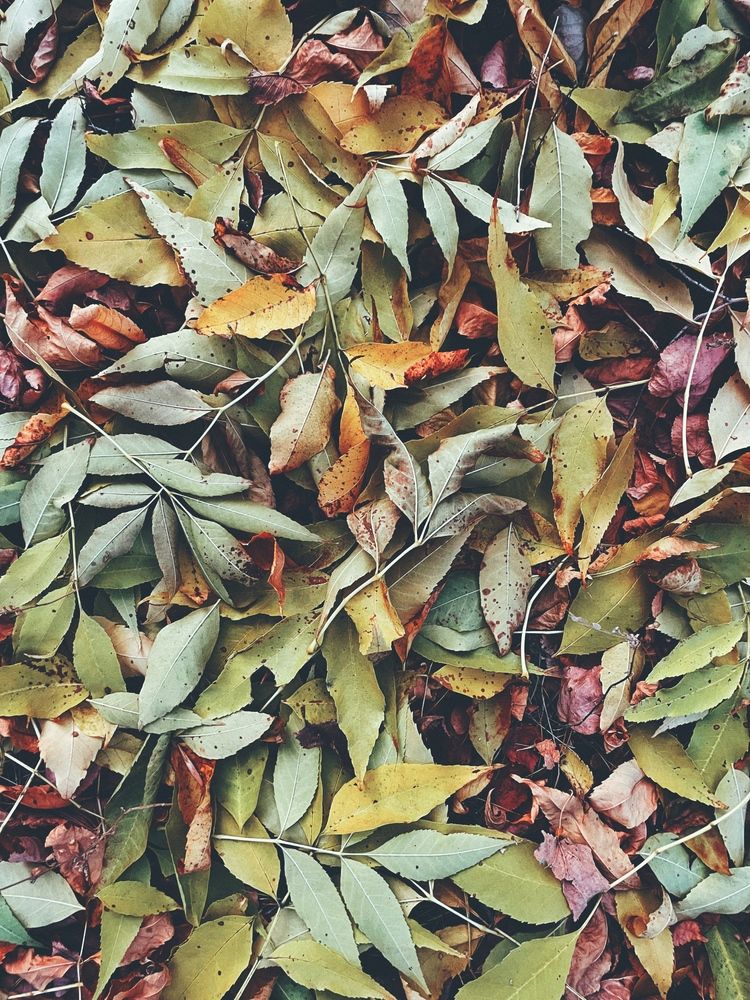 Photograph by Nadya Sterligova