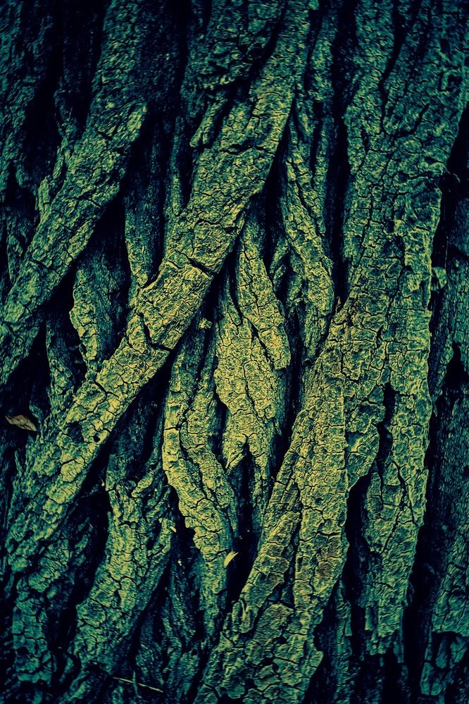 Photograph by Nadya Sterligova