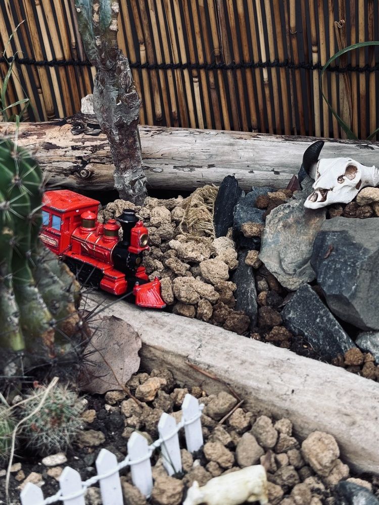 Photograph by Nagasaki Marina